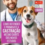 Alexandre Rossi Instagram – A castração tem sido um assunto polêmico ultimamente e que vem dividindo opiniões, principalmente com alguns estudos novos que saíram e alguns sendo contra.

Mas sabemos que ela é importante pra sociedade, no controle da superpopulação e abandono de cães.

Por isso, quero te convidar pra terceira live da série “CASTRAÇÃO”, pra falarmos um pouquinho de como ela ainda pode trazer vantagens pros cães.

⏰ HOJE, às 19h. 

Você não pode perder!
:
#alexandrerossi #drpet #CASTRAÇÃO #castracaodecaes #cachorro #saudeanimal