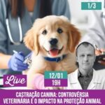 Alexandre Rossi Instagram - A castração é sempre um assunto polêmico e muitas são as dúvidas que surgem quando falamos do assunto. Essa semana perguntei por aqui se vocês são a favor ou contra e surgiram muitas opiniões diferentes e muitas dúvidas! Então resolvi fazer uma LIVE pra falar sobre esse assunto HOJE, às 19h! Você não pode perder! : #drpet #alexandrerossi #comportamentoanimal #adestramentointeligente #cachorro #CASTRAÇÃO