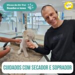 Alexandre Rossi Instagram - Você costuma dar banho no seu pet ou leva ele pra tomar banho em algum lugar? Eu sempre trago o @barthooficial e o Bruno pro Banho & Tosa na @petz. E hoje aproveitei pra trazer um assunto importante pra vocês: você já reparou se seu pet se sente bem com o secador e soprador? Pois é, muitos tutores nem sabem, mas o pet pode ter medo desses equipamentos por conta do barulho que fazem e até do vento que é jogado na direção deles. Então uma dica importante é dar um petisco enquanto o equipamento está ligado, e ver se seu pet aceita, se sim, sinal que ele pode estar tranquilo e não vai se estressar tanto durante a secagem. Vem saber mais no vídeo! E já me conta, você já fez esse teste com seu pet? : #alexandrerossi #drpet #banho #banhoetosa #saudeanimal #cuidadoanimal #cachorro
