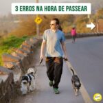 Alexandre Rossi Instagram - Passear com seu cão tem sido difícil? Se sim, saiba que essa é uma dificuldade que a maioria dos tutores enfrenta, e muitos acabam até desistindo de passear. Então, hoje vim te contar 3 erros que você pode estar cometendo com seu cão e que podem estar dificultando ainda mais o passeio com ele. “Mas, Dr Pet, o que faço então?” Comece ensinando seu cão a passear dentro de casa, colocando o equipamento de passeio e ande dentro de casa; e na hora de sair, espere ele se acalmar pra depois ir pra rua. Quer saber mais sobre como ter um cachorro educado? No link da bio, você encontra o acesso aos meus cursos de educação de cães! : #alexandrerossi #drpet #cachorro #puxandonopasseio #passearcomcachorro #adestramentointeligente