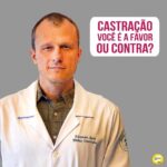 Alexandre Rossi Instagram - Castrar ou não castrar, eis a questão! A castração é sempre um assunto polêmico e muitas são as dúvidas que surgem quando falamos do assunto. Hoje já existem muitos estudos falando sobre os benefícios e malefícios desse procedimento. Sabemos que ele é muito importante para a sociedade, sendo ainda a melhor medida para diminuir a superpopulação de pets e o abandono. Mas infelizmente, a castração não traz apenas benefícios para a saúde do animal, e é importante saber disso para tomar uma decisão individualizada. Por isso, hoje eu quero saber sua opinião: você é a favor ou contra? : #drpet #alexandrerossi #comportamentoanimal #adestramentointeligente #cachorro #CASTRAÇÃO