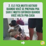 Alexandre Rossi Instagram - Identificou seu pet em algum desses? Se sim, não se desespere! Os cães são animais que gostam de companhia, por isso, muitos acabam sofrendo quando precisam ficar sozinhos. Mas existem estratégias que podem ajudar seu cão e amenizar o problema. Uma delas é associar sua saída a algo que ele goste muito, como um osso de nylon pra roer ou um caça ao petisco. ➡️ E se você quer saber mais sobre o que fazer, venha ser meu aluno no curso “Ansiedade de separação: como treinar meu cachorro pra ficar tranquilo sozinho em casa”. O link está na bio! : #drpet #alexandrerossi#comportamentoanimal #ansiedadedeseparação #cachorro