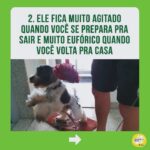 Alexandre Rossi Instagram – Identificou seu pet em algum desses?

Se sim, não se desespere! Os cães são animais que gostam de companhia, por isso, muitos acabam sofrendo quando precisam ficar sozinhos. 

Mas existem estratégias que podem ajudar seu cão e amenizar o problema. Uma delas é associar sua saída a algo que ele goste muito, como um osso de nylon pra roer ou um caça ao petisco.

➡️ E se você quer saber mais sobre o que fazer, venha ser meu aluno no curso “Ansiedade de separação: como treinar meu cachorro pra ficar tranquilo sozinho em casa”. O link está na bio!
:
#drpet #alexandrerossi#comportamentoanimal #ansiedadedeseparação #cachorro