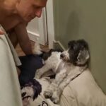 Alexandre Rossi Instagram - Notícias do Barrho: Ja se acostumou super bem com a fralda e com as caminhadas no chão. Está super bem disposto e estamos acompanhando de perto o resultado dos vários exames que fizemos. Está tomando corticoide para segurar as inflamações (principalmente do intestino) e probióticos. Fiquei muito assustado com a piora dele, mas já estou mais tranquilo agora. Agradeço tudo carinho e torcida de vcs por ele. É o nosso eterno bebezão!