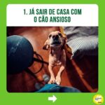 Alexandre Rossi Instagram - Passear com seu cão tem sido difícil? Se sim, saiba que essa é uma dificuldade que a maioria dos tutores enfrenta, e muitos acabam até desistindo de passear. Então, hoje vim te contar 3 erros que você pode estar cometendo com seu cão e que podem estar dificultando ainda mais o passeio com ele. “Mas, Dr Pet, o que faço então?” Comece ensinando seu cão a passear dentro de casa, colocando o equipamento de passeio e ande dentro de casa; e na hora de sair, espere ele se acalmar pra depois ir pra rua. Quer saber mais sobre como ter um cachorro educado? No link da bio, você encontra o acesso aos meus cursos de educação de cães! : #alexandrerossi #drpet #cachorro #puxandonopasseio #passearcomcachorro #adestramentointeligente