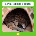 Alexandre Rossi Instagram - E aí, seu gato tem tudo isso no dia a dia dele? Quem tem gato em casa sabe que eles são animais incríveis e cheios de particularidades, e o que mais queremos é que eles sejam felizes. Por isso, hoje eu trouxe 3 coisas que você pode fazer pra que seu gato seja muito feliz! Bom domingo a todos! : #alexandrerossi #drpet #gatos #bemestar #gatolover #gatofeliz #comportamentoanimal