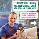 Alexandre Rossi Instagram - A maioria das pessoas acredita que não é tão importante educar o cão quando ele ainda é um filhote, mas você sabia que é educando nessa fase que prevenimos várias coisas, inclusive a agressividade? Pois é, os filhotes têm um período que chamamos de “janela de socialização” e é muito importante apresentar o mundo de forma controlada e positiva e educá-los nessa fase, pois o que aprendem nela, eles levam pra vida adulta. Então, se você conseguir educar seu filhote, vai ter um adulto educado e sociável que vai poder te acompanhar em qualquer lugar e se um dia precisar ficar um tempinho sozinho, também vai tirar de letra, rs. Muito legal, né?! E pra saber mais sobre como educar seu filhote, comenta “EU QUERO”. : #alexandrerossi #drpet #filhotes #educaçãodefilhotes #adestramentointeligente