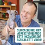 Alexandre Rossi Instagram - Seu filhote já ficou agressivo em algum momento? A maioria das pessoas não sabe, mas a agressividade pode aparecer quando os cães ainda são filhotes. E precisamos tomar alguns cuidados pra que isso não se torne um problema e o filhote cresça e fique agressivo. Por isso, hoje eu trouxe uma dica pra vocês, que foi a dúvida de uma aluno do meu curso de filhotes lá no WhatsApp. Vem conferir no vídeo! E se quiser fazer parte desse grupo, vem ser meu aluno no curso de filhotes! O link está na bio. : #alexandrerossi #drpet #cursodefilhote #adestramentodefilhotes #filhote #adestramentointeligente #filhotemordendo