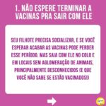 Alexandre Rossi Instagram - A maioria das pessoas que tem um filhote espera as vacinas terminarem, coloca a coleira e a guia e sai pra rua. Mas você sabia que essa não é a melhor forma de começar os passeios? Pois é, a melhor forma é aproveitar o período de socialização dos filhotes, que vai até o 100° dias, pra sair com eles no colo e em locais com poucos cães, ou seja, apresentar o mundo pra ele de forma controlada e positiva. Assim, você evita que ele se torne medroso ou agressivo, pois nesse período ele está mais receptivo a novas experiências. É importante também ensinar dentro de casa a usar o equipamento de passeio, colocando de forma gradual e associando com coisas boas, depois andando com ele pela casa e em locais calmos e só depois realmente saindo pro passeio. Quer saber mais? Vem ser meu aluno no meu curso “Educação de Filhotes”. O link está bio. : #alexandrerossi #drpet #comportamentocanino #filhote #educaçãodefilhote #adestramentointeligente
