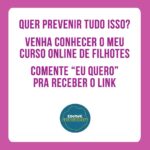 Alexandre Rossi Instagram – A maioria das pessoas acredita que não é tão importante educar o cão quando ele ainda é um filhote, mas você sabia que é educando nessa fase que prevenimos várias coisas, inclusive a agressividade?

Pois é, os filhotes têm um período que chamamos de “janela de socialização” e é muito importante apresentar o mundo de forma controlada e positiva e educá-los nessa fase, pois o que aprendem nela, eles levam pra vida adulta.

Então, se você conseguir educar seu filhote, vai ter um adulto educado e sociável que vai poder te acompanhar em qualquer lugar e se um dia precisar ficar um tempinho sozinho, também vai tirar de letra, rs. Muito legal, né?! 

E pra saber mais sobre como educar seu filhote, comenta “EU QUERO”.
: 
#alexandrerossi #drpet #filhotes #educaçãodefilhotes #adestramentointeligente