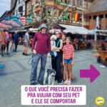 Alexandre Rossi Instagram - Quem me acompanha por aqui viu que nesse final de semana fui viajar com o @barthooficial e o Bruno. E muita gente adorou acompanhar nossa viagem e também perguntou como treinar o pet pra viajar junto. Por isso, hoje trouxe 3 dicas de como você pode preparar seu pet pra viajar com você e se comportar. Vem conferir! E pra saber mais sobre como educar seu pet, vem ser meu aluno no curso “Método Adestramento Inteligente”. O link está na bio. : #alexandrerossi #drpet #viagemcompet #comportamentoanimal #adestramentointeligente