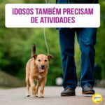 Alexandre Rossi Instagram - Muita gente que tem um cão idoso acredita que ele não precisa mais de atividades, que vai apenas comer e descansar durante todo o dia. E é o que acaba acontecendo mesmo com alguns pets que não são estimulados. Mas, na verdade, os cães idosos também precisam de vários tipos de atividades para ter uma boa qualidade de vida! Claro, é normal terem menos disposição do que antes, mas isso não significa que devam ficar sem atividade. Passeios, interações com pessoas e outros cães, treinos dos comandos preferidos, brinquedos de enriquecimento ambiental (como brinquedos recheados ou tapete de lamber)... Tudo isso vai ajudar a manter seu pet saudável, evitar a obesidade e as doenças que vêm com ela, além de estimular o cérebro e os hormônios do bem-estar. Por isso, por aqui estou sempre incentivando o @barthooficial a brincar e manter o exercício em dia. E você que tem um pet idoso, como ele é? Me conta. : #alexandrerossi #drpet #comportamentoanimal #petidoso #cachorroidoso #saudeanimal