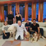 Alexandre Rossi Instagram - Logo mais no Programa Encontro com Patrícia Poeta! Vamos conversar sobre os problemas de articulação cães! TV Globo São Paulo