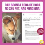 Alexandre Rossi Instagram - Imagine a cena: você chega em casa e encontra seu sapato preferido destruído pelo seu cachorro. Seu impulso provavelmente vai ser dar uma bronca, não é? É isso que apontou uma pesquisa que realizei e publiquei numa revista internacional. No estudo, que teve mais de 60 mil respostas, mais de 88% dos tutores disseram que dão bronca ao chegar em casa e ver que o pet fez algo errado, principalmente por comportamentos como destruição e xixi fora do lugar. Mas, acredite, isso não funciona, pois já foi provado cientificamente que a memória dos cães não funciona como a nossa. Pois é, depois de destruir seus sapatos, o seu pet certamente fez inúmeras outras coisas, como latir na janela, beber água, tirar um cochilo… Então, ele não irá relacionar a bronca ao comportamento errado. Mesmo que ele faça a famosa “carinha de culpado”, ele realmente não sabe sobre o que você está falando – só sabe que você está irritado e que, depois disso, costuma vir uma bronca. Pra ver o estudo completo, você pode acessar o link que vou deixar nos stories e aqui embaixo. Link: https://brill.com/view/journals/soan/31/4/article-p507_5.xml : #drpet #alexandrerossi #cachorro #comportamentoanimal #bemestaranimal #bronca