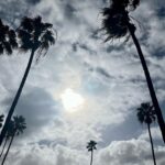Alfonso Herrera Instagram - 2023