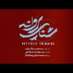 Ali Shadman Instagram - «شنای پروانه» ✌🏼