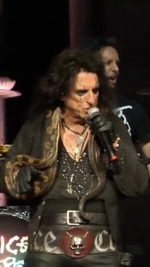 Alice Cooper Instagram - Snakebite drags you under 🐍
