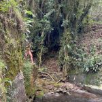 Aline Campos Instagram – no meu habitat natural 🌳
Sexta-feira 13 com energia de renovação por aqui✨🦋
#ViscondeDeMaua Cachoeira Das Antas