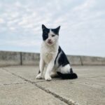 Alperen Duymaz Instagram - Gün güzeli Emirhan