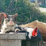 Alperen Duymaz Instagram -