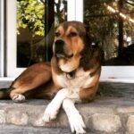 Alperen Duymaz Instagram - Soda söyledim abi otur 2 dk