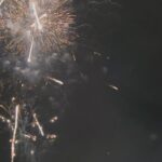 Alycia Debnam-Carey Instagram - ✨✨✨✨✨ 2024 - may all your wishes come true