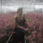 Alycia Debnam-Carey Instagram - I’ve been sitting on something really special to me for the last 6 months but we’re back and I’m so excited to finally share #thelostflowersofalicehart with you. I’m beyond proud of this project and all the people who brought it to life. Being able to return to my home country, reconnect with our environment, speak in my accent and play with some of Australia’s best breathed so much life into me. This show is beautiful, heartbreaking and powerful. It’s on @primevideoaunz now so please go check it out! Thank you to @glendyn_ivin who is a masterful director and @samchippy who captured the most cinematic beauty. To the powerhouse actors, especially all the women who brought these incredible characters to life. #sigourneyweaver @alylabrowne @leahpurcell @asherkeddieofficial @frankieadams @tildac_h_ ❤️ To all of the extraordinary crew who worked in the most challenging conditions! legends. Thank you to @madeupstories for giving this a platform and to @hollygoeslightly who trusted part of her soul with all of us. Flowers and heart flames forever. 🌸❤️‍🔥