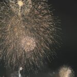 Alycia Debnam-Carey Instagram - ✨✨✨✨✨ 2024 - may all your wishes come true