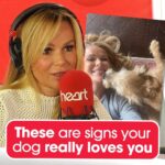Amanda Holden Instagram - These are signs your dog REALLY loves you 👀🐶❤️