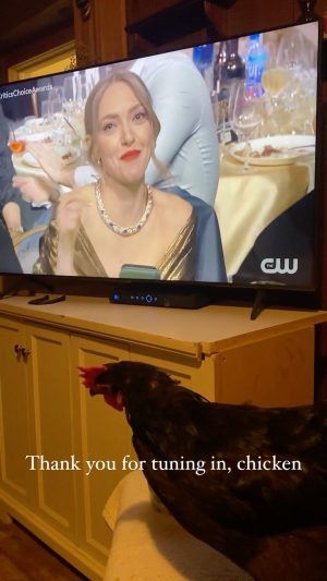 Amanda Seyfried Instagram - Kitchen chicken tunes in 🏆