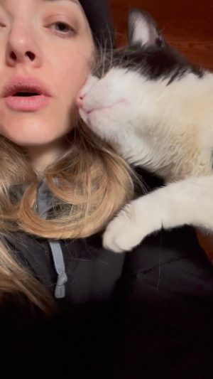 Amanda Seyfried Instagram - It’s been a long week. Here’s a classic Bert video. #fbf 🐾