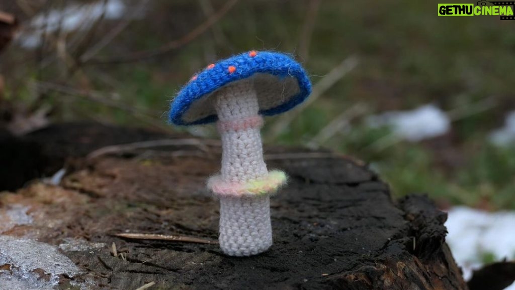 Amanda Seyfried Instagram - The mushrooms