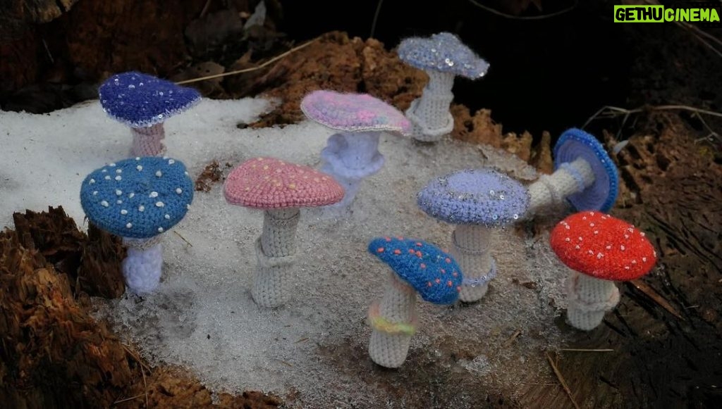 Amanda Seyfried Instagram - The mushrooms