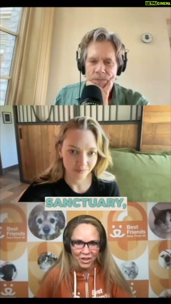 Amanda Seyfried Instagram - To think that over 17 million animals used to be put down EVERY YEAR in America is just astonishing. But what is even more amazing is that Best Friends Animal Society has helped get that number to under 400,000 - And they aren’t done yet! Check out this week’s episode of #SixDegreesPod when @kevinbacon is joined by talented actor Amanda Seyfried @mingey and the CEO of @Bestfriendsanimalsociety @BFAS_Julie. They dive into why animals need us and how you can make a difference one animal at a time. You can tune in to the full episode of ‘Six Degrees with Kevin Bacon’ on iHeartRadio, Apple Podcasts, or Amazon Music. Best Friends Animal Society is also partnering with @wbd for the 20th-Anniversary Puppy Bowl to help animals find their loving home and match donations to cover adoption fees for their pet lifesaving centers nationwide from February 7-14. Text PUPPY to 707070 or head to PuppyBowl.com/donate to double your impact or find a shelter near you. Watch Puppy Bowl on Animal Planet Sunday, Feb 11th at 2pm ET/ 11am PT. #BestFriends #SixDegrees #NoKill2025 #puppybowl @animalplanet