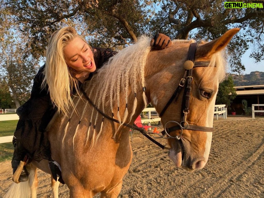 Amber Heard Instagram - what’s the opposite of ‘horse whisperer’? 🐴🐴🐴