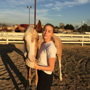 Amber Heard Instagram - Arrow and I