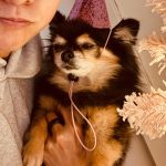 Amber Liu Instagram - merry christmas from the Lius 🎄