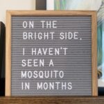 Amber Portwood Instagram - I’m not complaining about this weather at all! #nocomplaints #nottoohot #nottoocold #justright #winterweather #winter #isitwinteryet❄️ #coldweather #sweaterseason #almosttheendoftheyear