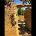 Amirhossein Arman Instagram - جایی دیگر .. #theotherplace #salina #calture #desert #camel #road #palm #date #sun #moon #trip #iran Khur Salt Lake دریاچه نمک خور