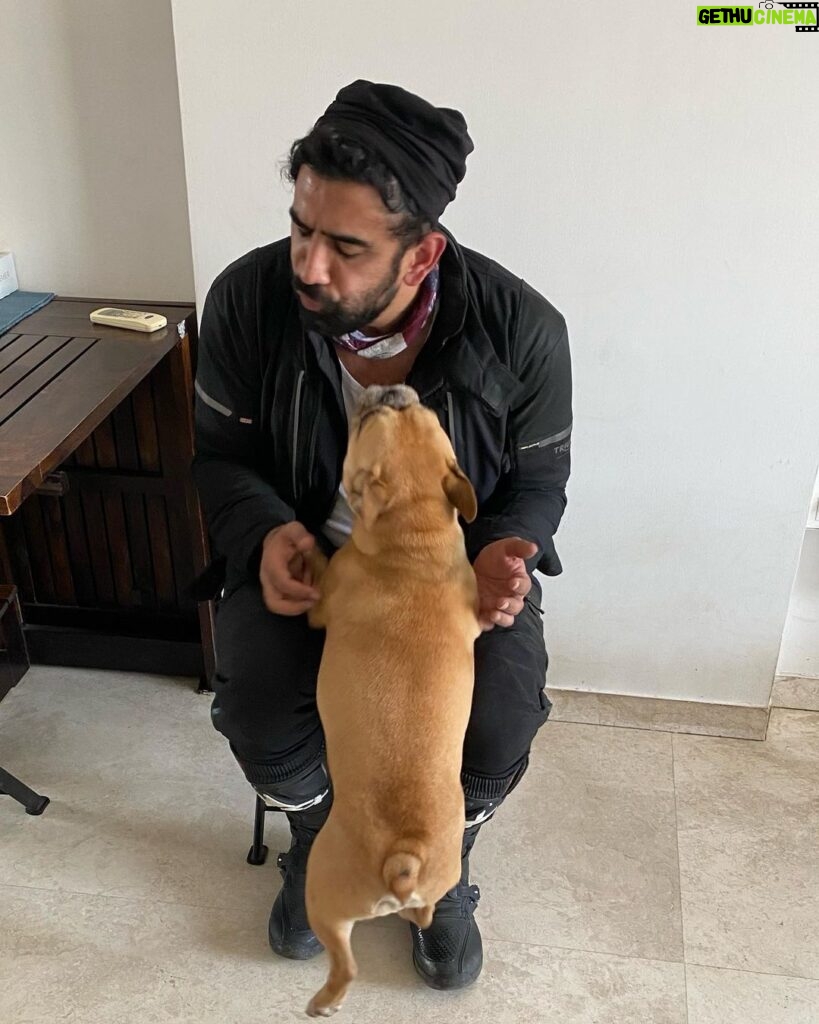 Amit Sadh Instagram - My Brando has gone …. “I loved you for your whole life and I'll miss you for the rest of mine.” RIP❤