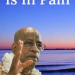 Anagha Bhosale Instagram - Krishna is sad because we are fallen….so Let’s Become Krishna conscious & make Krishna & Radha Rani happy 🥰✨🦚pl start chanting Hare Krishna mahamantra everyone & spread this movement for Srila Prabhupada