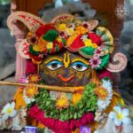 Anagha Bhosale Instagram - namaste girirajaya sri govardhana namine ashesha klesha nashaya paramananda dayine “I offer my most respectful obeisances to Giriraja. His name is Govardhan. He takes away all one’s miseries and instead gives one the highest ananda, the highest bliss—paramananda.” Today is the 7th installation Anniversary of Sri Giriraj at Govardhan Eco Village #Giriraj #Vrindavanforest #Govardhanecovillage #radhanathswami