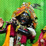 Anagha Bhosale Instagram - namaste girirajaya sri govardhana namine ashesha klesha nashaya paramananda dayine “I offer my most respectful obeisances to Giriraja. His name is Govardhan. He takes away all one’s miseries and instead gives one the highest ananda, the highest bliss—paramananda.” Today is the 7th installation Anniversary of Sri Giriraj at Govardhan Eco Village #Giriraj #Vrindavanforest #Govardhanecovillage #radhanathswami