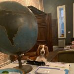 Anderson Cooper Instagram - My dog, Lily, likes to study old globes and plan her next adventure. #welshspringerspaniel