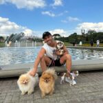 André Luiz Frambach Instagram - Impossível não chorar, impossível não sentir dor, impossível esquecer de você minha raposinha, minha charmosa, minha metida!!! Você era única, um coração tão tão grande que não cabia dentro de você, todos diziam que nem viver você conseguiria porém foram 5 anos vividos, e nesses últimos meses principalmente VIVEU o que merecia ter vivido a vida toda, com muito amor, muitos irmãos, livre e recebendo toda atenção e carinho possível! A gente sabe como os cachorros são os animais mais puros e sinceros, e por toda essa pureza deles eles absorvem muita coisa externa. Meguinha tinha um problema seríssimo no coração, problema cardíaco grave, sabíamos que em qualquer momento um mau súbito poderia acontecer, mas desde que ela esteve com a gente, nunca “podamos” ela de viver do jeito que ela queria, foram muitas brincadeiras, correrias, felicidade e amor acima de tudo. Hj ela faleceu enquanto dormia no quarto do papai e da mamãe dela! Nos te amamos muito minha filha. Espero que você volte pra gente em breve, estaremos te aguardando aqui nesse plano! Queria ter convivido e vivido mais com você. Obrigado pela sua delicadeza, pelo seu carinho cmg, pelo seu amor, por ter sido a primeira a acolher a nalinha sua irmã gigante ahhahahahaha. Somos e seremos sempre uma família, e estaremos esperando você novamente se assim papai do céu quiser! TE AMO MINHA RAPOSA