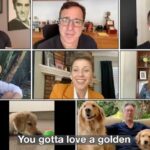 Andrea Barber Instagram - This is guaranteed to put a smile on your face! 🐶🐾 It’s #NationalDogWeek and the Full House fam made this fun video with Jeff Franklin @fullerhouseguy! Check out #GottaLoveAGolden (link to full video in my bio) and help support animal welfare. #petsmartcharities Unleash the love! @petsmartcharities