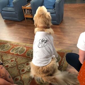 Andrea Barber Instagram - There is a Cosmo-sized hole in our hearts. 💔 We miss you, sweet boy. 😢🐾