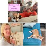 Angela Kinsey Instagram - I love these two so much. Biscuit & Buster. Biscuit will bark at anyone and anything for as long as it takes. Buster doesn’t like wet grass. They both love to snuggle but do not move Biscuit’s blanket or else… and Buster might pee himself if too many guests arrive at once. Happy #nationaldogday 🥰 #internationaldogday
