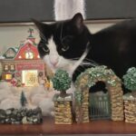 Angela Kinsey Instagram - The new addition to our Christmas Village… 😼❤️🎄 Merry Christmas!