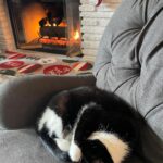 Angela Kinsey Instagram - Oreo’s weekend plans…